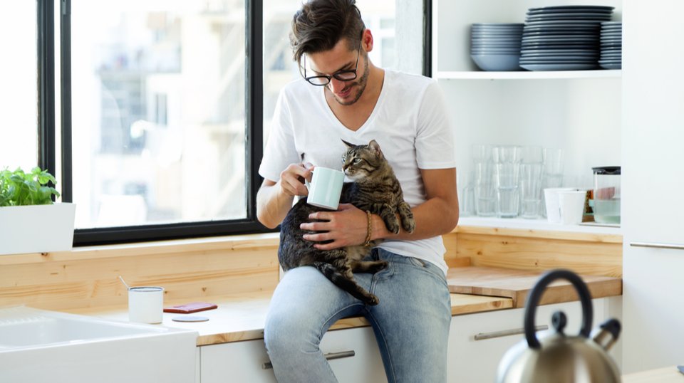 猫とくつろぐ男性