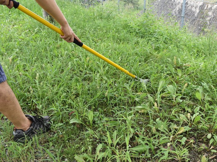 力を使わない革新的な草刈りツール「スキッジャー 」の実力 | ライフ