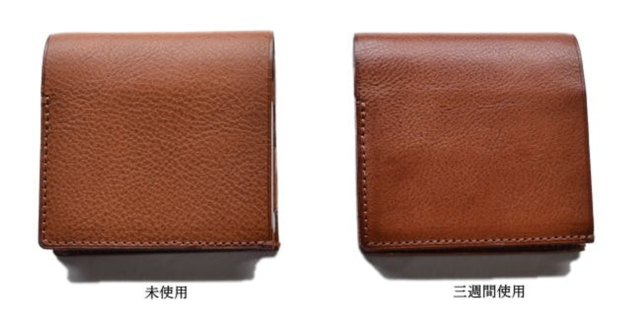 トロパル＝ダニの財宝 fab JPN】【Rainbow Foil】[汎用] トロパル＝ダニの財宝/Riches of