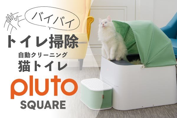 猫のトイレ掃除も自動の時代到来！ 体調管理もできるトイレ登場