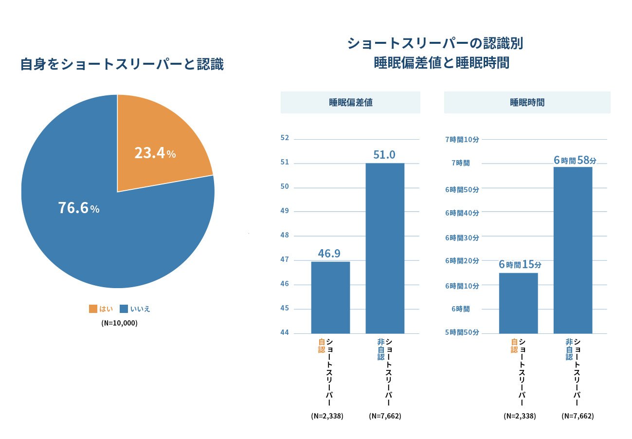 値下げしました。　日本睡眠学会　学習用PSGチャート aef152a2-4256-4d58-a778-